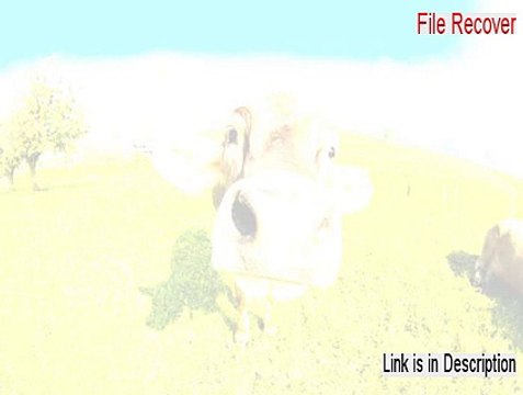 File Recover Key Gen [file recovery android 2015]