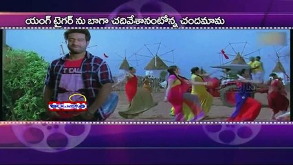 Kajal Agarwal praises Jr NTR (12 - 02 - 2015)