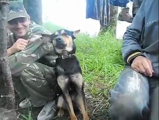 Cute Dog In Sleeping Mood