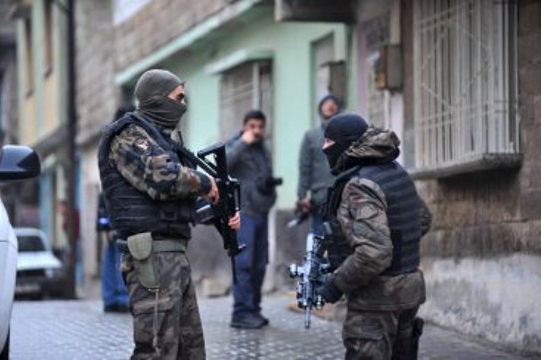 Bonzai Baskınında Fare ve Karınca Zehiri Şoku