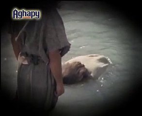 فاصل عيد الغطاس - أغابي