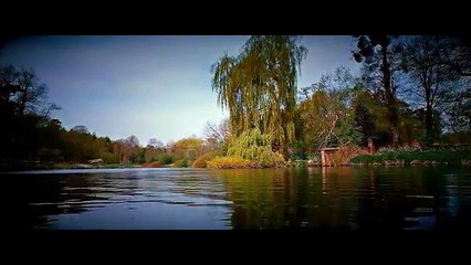 Rogue est le héros de l'histoire - COMPILATION