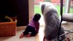 Dogs Meeting Babies for First Time Compilation 2014 Dogs Meeting Babies for First Time