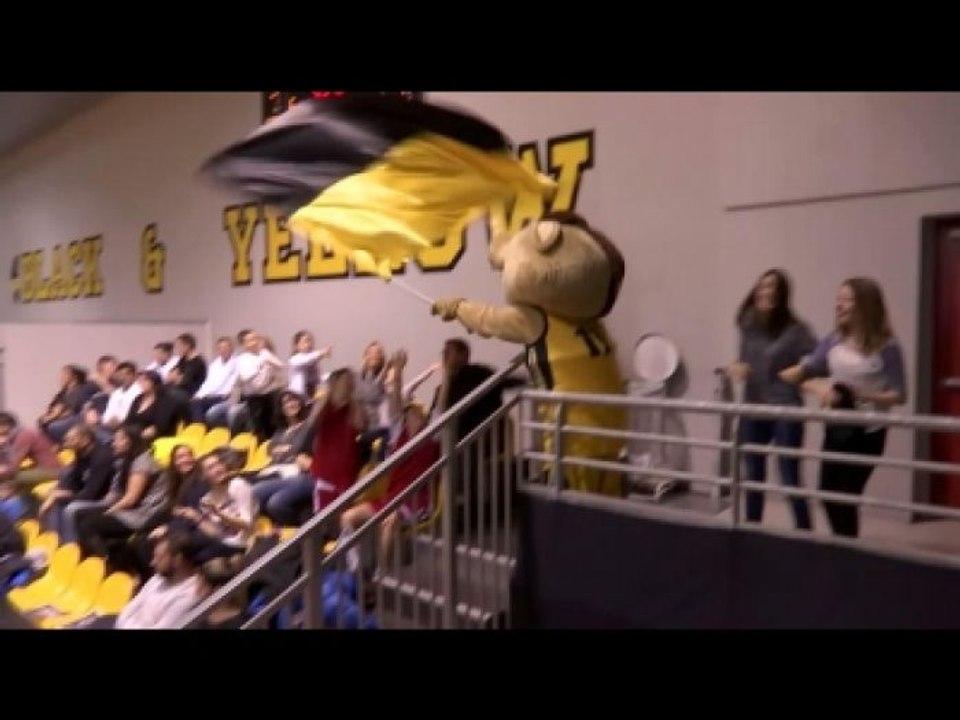 BASKET - PRO B - FOPB : Provence Basket, dans l'ombre de l'OM