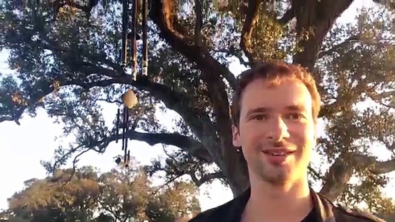 L'arbre à méditation !