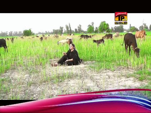 Kausar Japani | We Dachi Waly Khana | Best Saraiki Songs | Hits Saraiki Songs | Thar Production