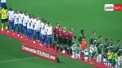 Palmeiras 3 x 0 Rio Claro, Melhores Momentos - Paulistão 11_02_2015‬