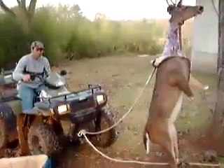 OMG!!! What is he Doing??? - Its really amazing