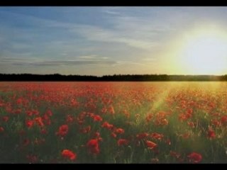Green Fields of France - Fureys