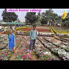 LOKESH KUMAR YALANGI    లోకేష్ కుమార్
