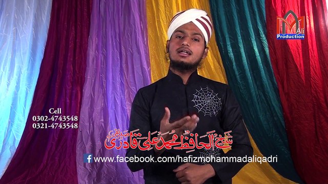 Sarkar Ka Jashan Manana He By Hafiz Mohammad Ali Qadri