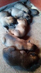 Be Aware H's @ DREAMS - Part 1