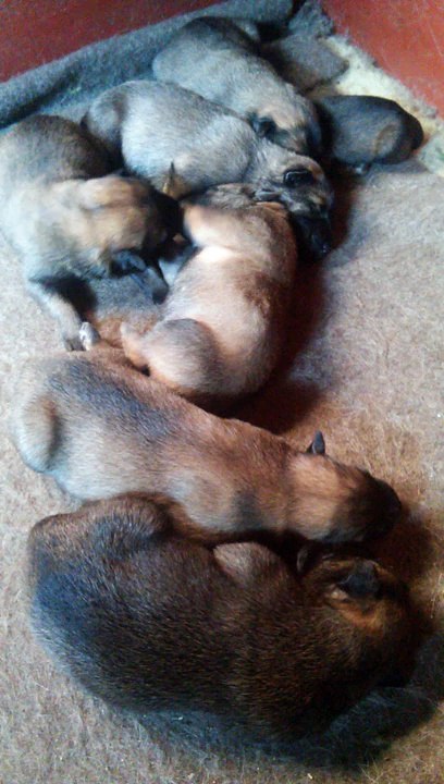 Be Aware H's @ DREAMS - Part 1