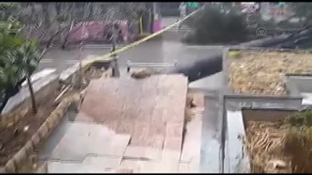 Bağdat Caddesi'nde Ağaç Devrildi