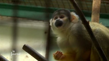 Hiver en Vendée : Plus d'attention dans les parcs animaliers