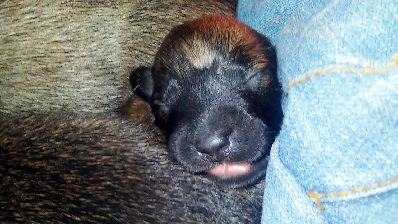 Be Aware H's @ DREAMS - Part 5