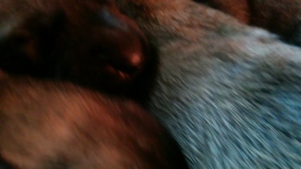 Be Aware H's @ DREAMS - Part 4