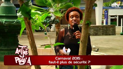 ATPA 11 02 15 CARNAVAL PLUS DE SECURITE MAURICE FERNE OK