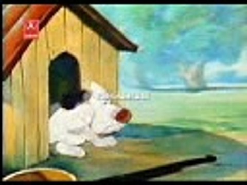 Chadi and Madi, kids Corner, Cartoon on Dailymotion, Childs world on dailymotion