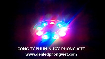 Den led tha chim duoi nuoc