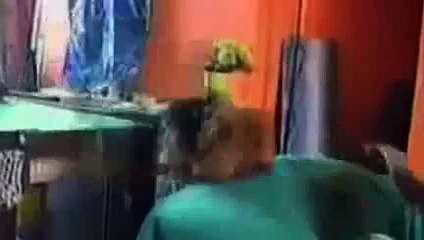 Funny Dogs - World's Funniest Dog Video Ever