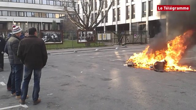 Saint-Brieuc. Une cinquantaine d'éleveurs de porc devant la préfecture