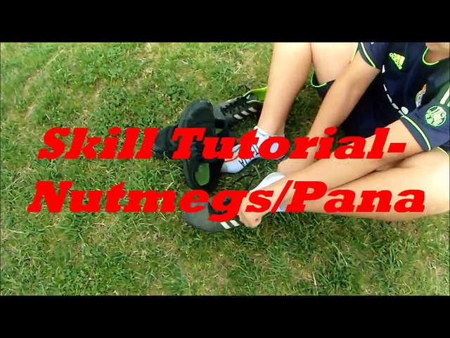 Pana/Nutmeg Tutorial -Tutorial-