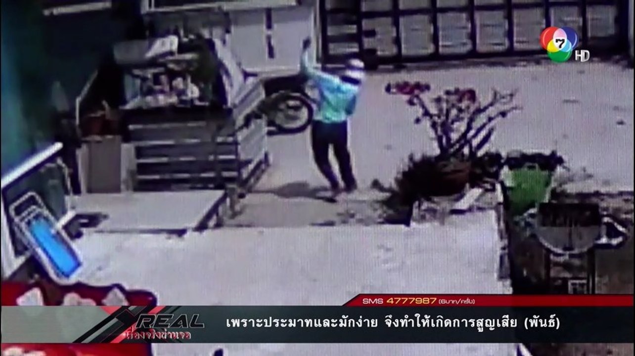 เรื่องจริงผ่านจอ 12  กุมภาพันธ์ 2558  งูจงอางโผล่กลางบ้านฉกหวิด 5/5