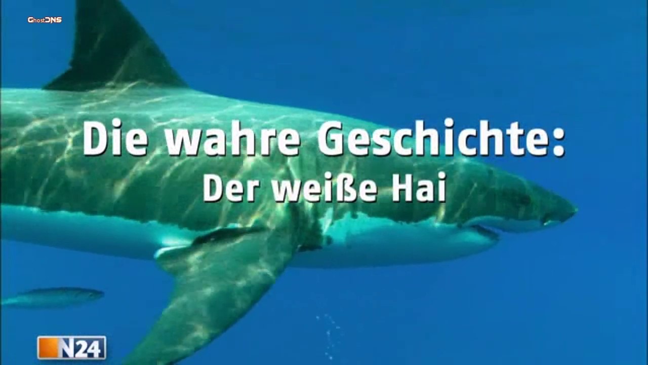 Die wahre Geschichte - Der weiße Hai