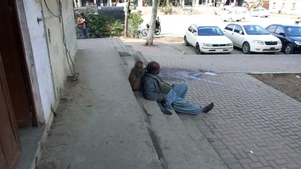 A monkey man taking rest  and monkey doing catch the lice his head PCCNN By Chaudhry Ilyas Sikandar