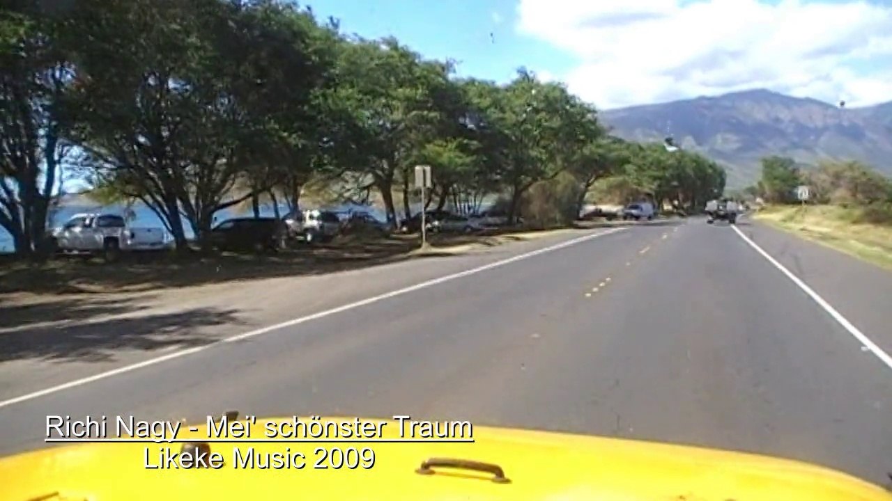MEI SCHÖNSTER TRAUM - RICHI NAGY