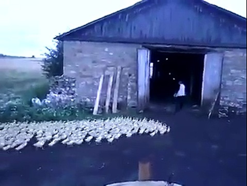 awesome video