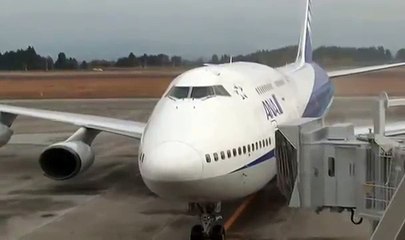 ANA　B747-400　里帰りフライト　鹿児島空港