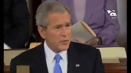 Valentine's Day Tezabi Totay Chacho Bush