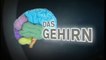Das Gehirn - 1v2 - 2007 - by ARTBLOOD