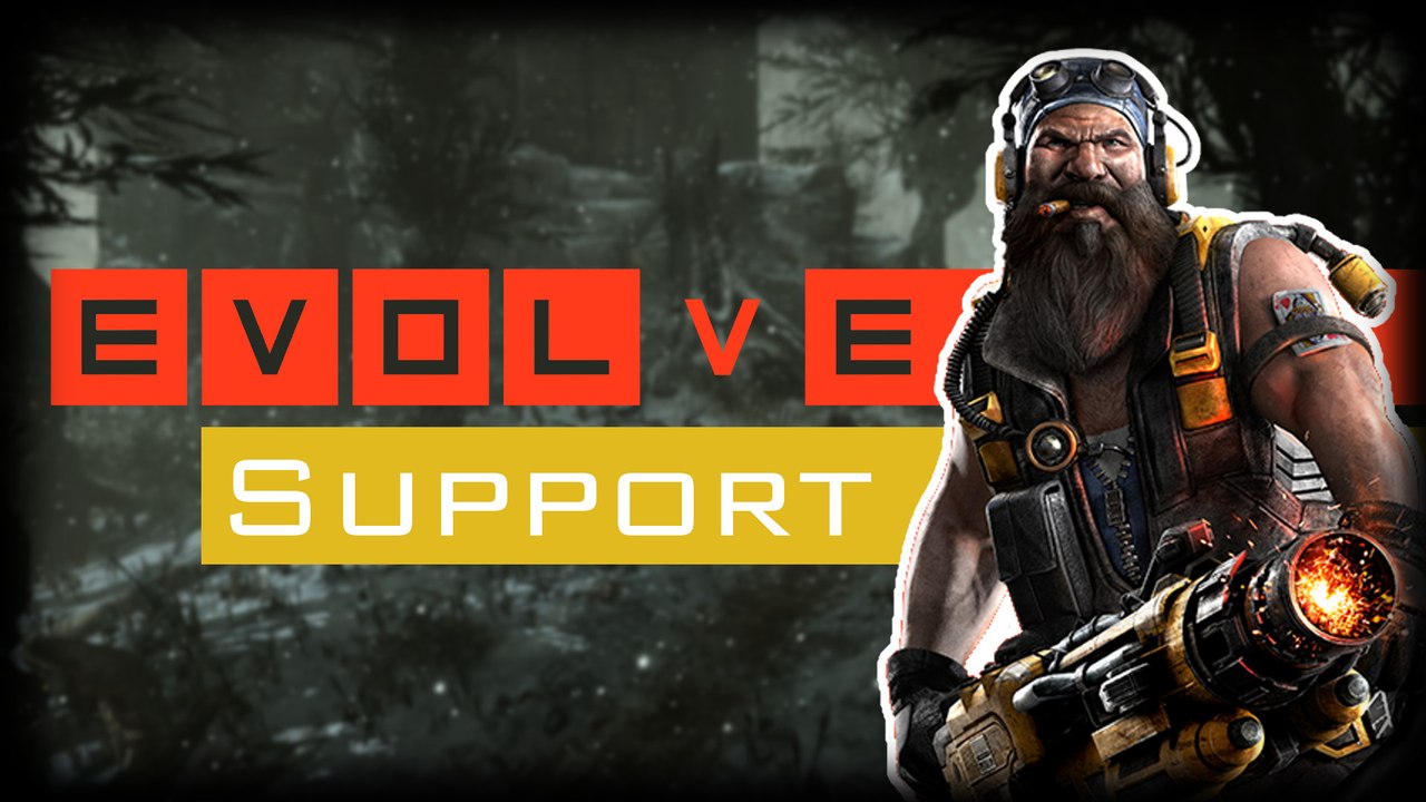 Gameplay hank (support) - evolve  [6]