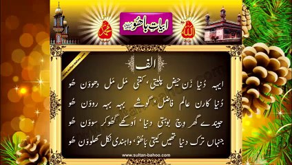 Abyat e Bahoo and Kalam e Bahoo by Sultan ul Arifeen Hazrat Sakhi Sultan Bahoo (5/201) Eh Dunya Zaan Hazee Paletee, Kitne Mal Mal Dhowan Hoo ایہہ دُنیا زَن حیض پلیتی، کتنی مَل مَل دھووَن ھُو