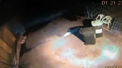 CCTV-Australia(Sydney) Arsonist Flees Shop Fireball