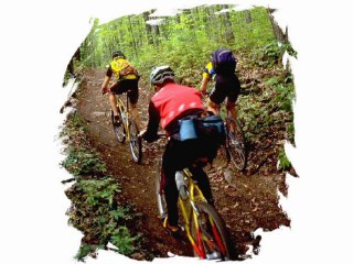 Imagiers- que font-ils vol2