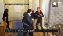 Deux députés ukrainiens se battent au sein du parlement
