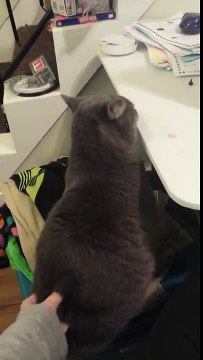 Nom nom nom nom! Super Funny Video