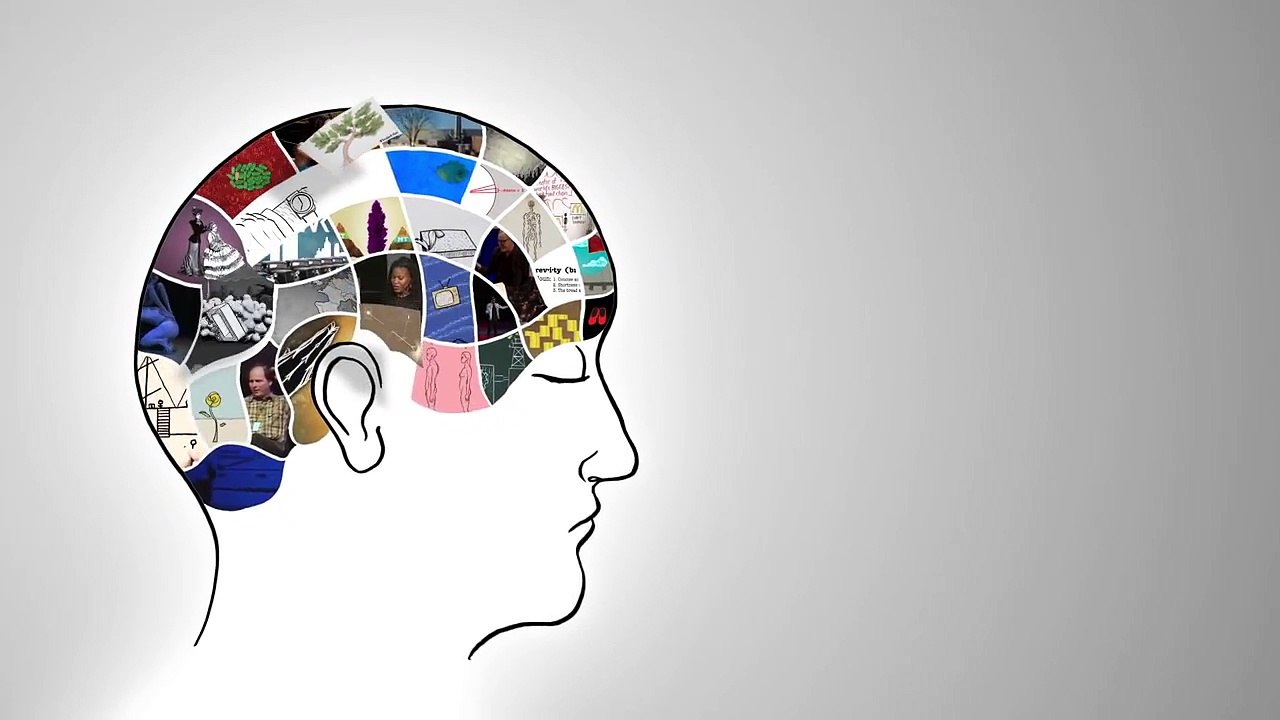 Myths and misconceptions about evolution