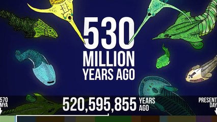 Evolution On Earth In 60 seconds