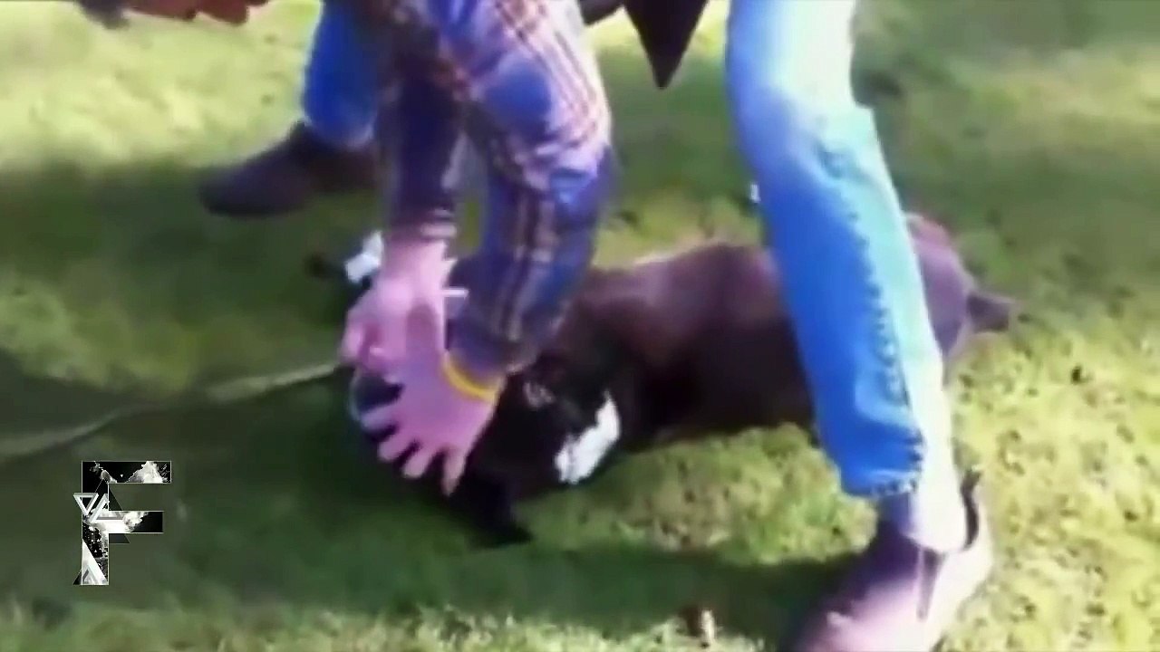 RESTORING FAITH IN HUMANITY 2014