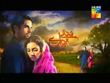 Sadqay Tumhare By Hum Tv Episode 19 Online 6 February 2015 Full Episode Promo