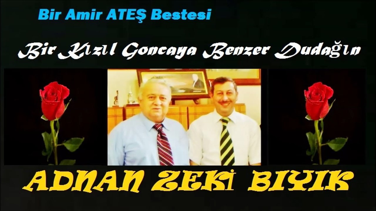 Bir Kızıl Goncaya Benzer Dudağın-Adnan Zeki Bıyık