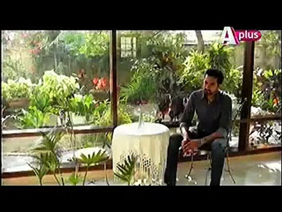 Jaanam Last Episode 23 on Aplus in High Quality 12th February 2015