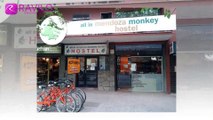 All In Mendoza Monkey Hostel, Mendoza, Argentina