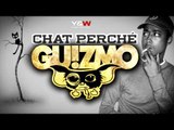 GUIZMO - CHAT PERCHÉ // L'ENTOURAGE // Y&W