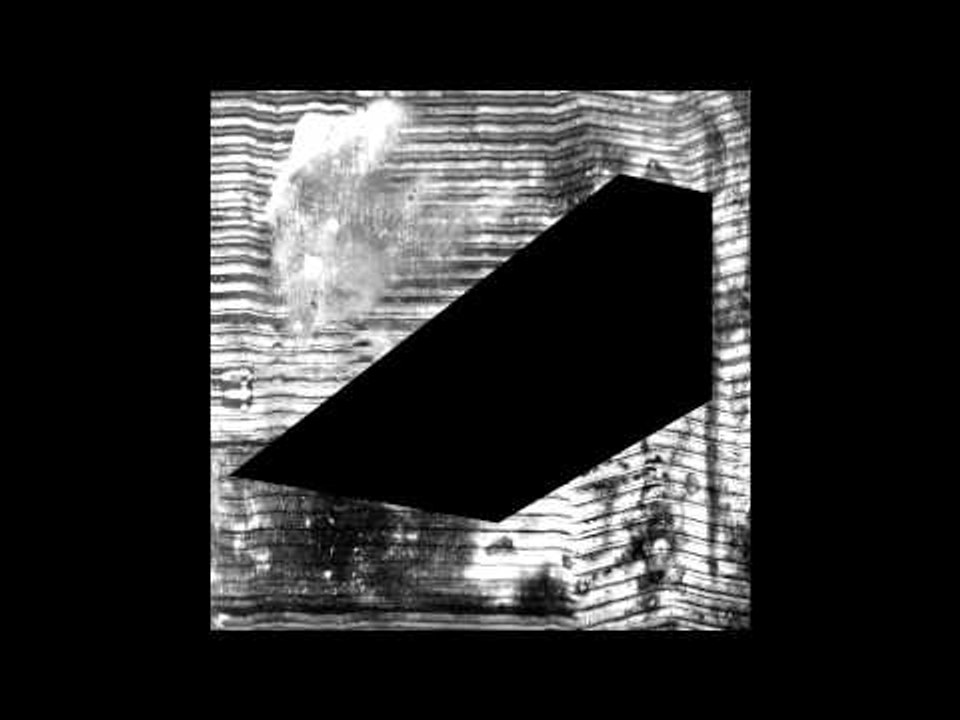 D Tiberio - Zoo